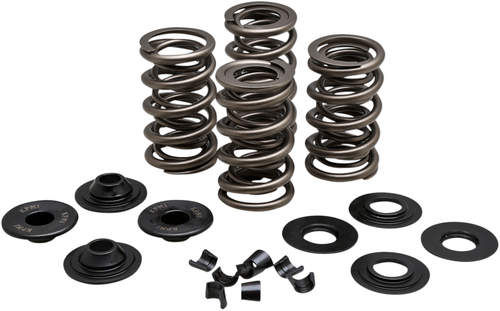 KIBBLEWHITE - 20-21600 - Spring Kit - .675" - Evolution/Twin Cam
