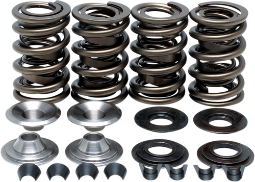 KIBBLEWHITE - 20-20060 - Spring Kit - .655"