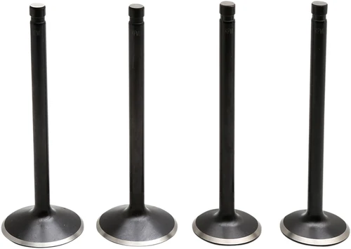 KIBBLEWHITE - 20-22700 - Valve Kit - Evolution/883