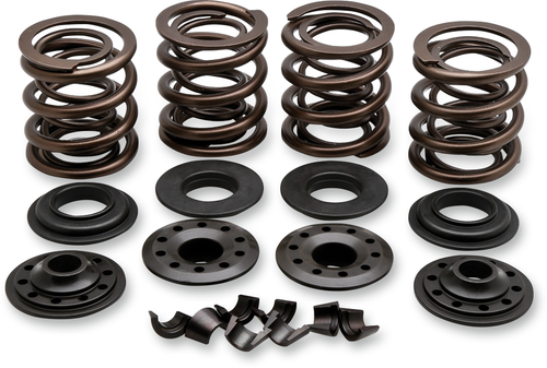 KIBBLEWHITE - 20-20850 - Valve Spring Kit