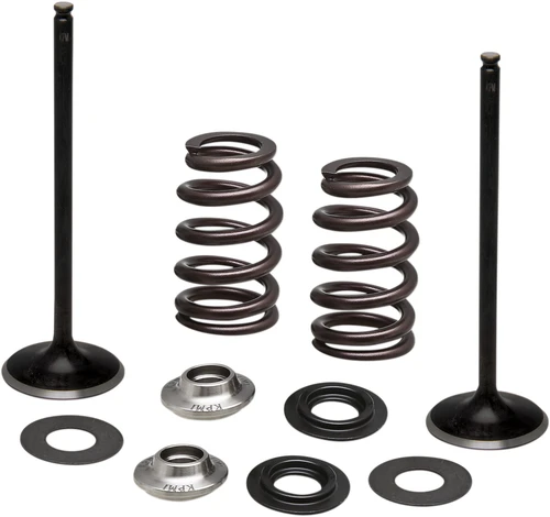 KIBBLEWHITE - 96-96540 - Spring Kit - Intake Only