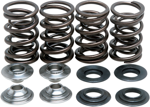 KIBBLEWHITE - 60-60045 - Valve Spring Kit