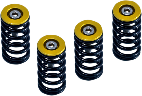 BARNETT - 519-25-06090 - Clutch Springs