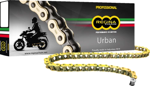 REGINA - 124OROY/1019 - 420 OROY - Drive Chain - 100 Links