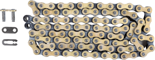 REGINA - 124OROY/1019 - 420 OROY - Drive Chain - 100 Links