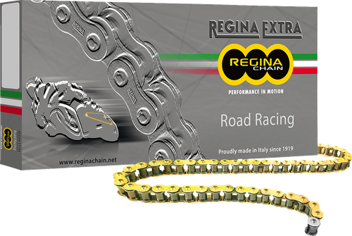 REGINA - 135GPZ/001 - 520 GPZ Series - Chain - 120 Links