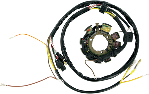 RICK'S MOTORSPORT ELECTRIC - 21-553 - Stator