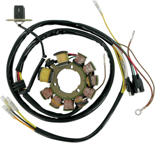 RICK'S MOTORSPORT ELECTRIC - 21-555 - Stator