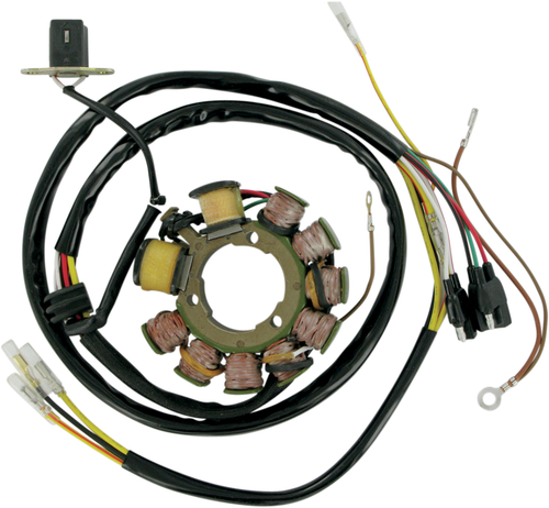 RICK'S MOTORSPORT ELECTRIC - 21-555 - Stator