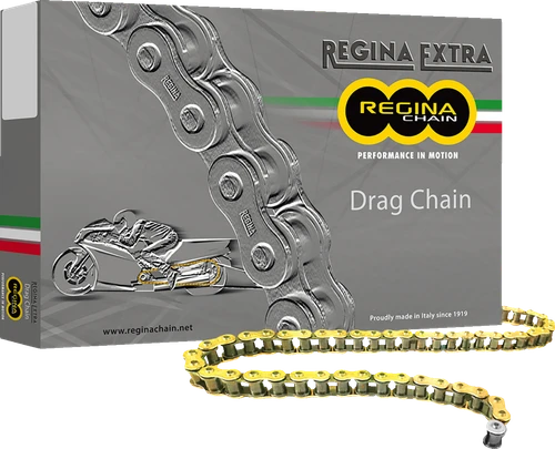 REGINA - 135DR/1000 - 520 DR Extra - Drag Racing Chain - 120 Links