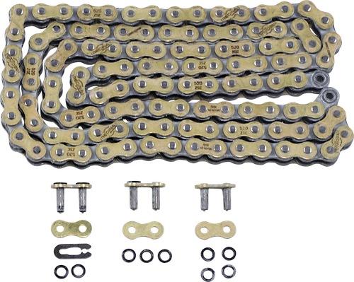 REGINA - 135ZSE/1004 - 520 ZSE - Drive Chain - 120 Links