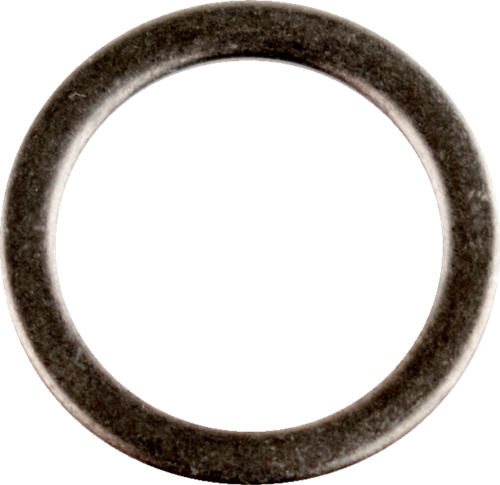 WSM - 007-588-01 - Cam Chain Plug Gasket