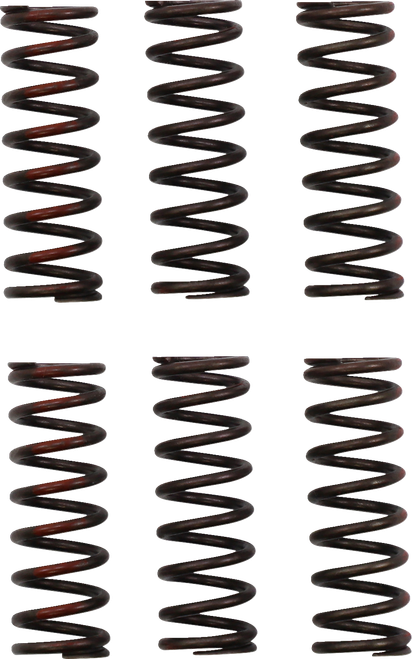 PRO CIRCUIT - CSH21450-CS - Clutch Springs - CRF 450R