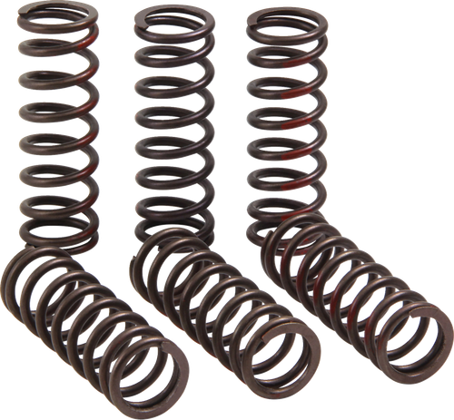 PRO CIRCUIT - CSH21450-CS - Clutch Springs - CRF 450R