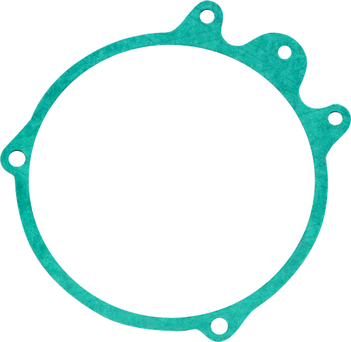 RICK'S MOTORSPORT ELECTRIC - 25-111 - Stator Gasket - Honda