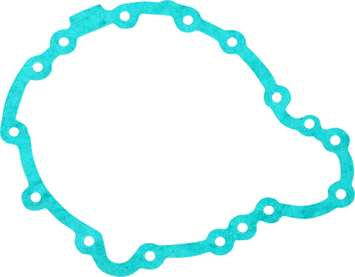 RICK'S MOTORSPORT ELECTRIC - 25-006 - Stator Gasket - Triumph