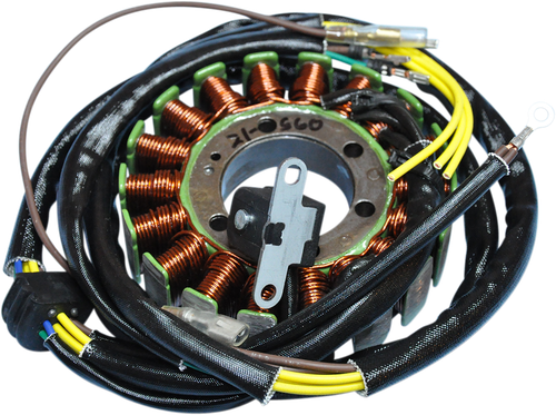 RICK'S MOTORSPORT ELECTRIC - 21-560 - Stator - Polaris