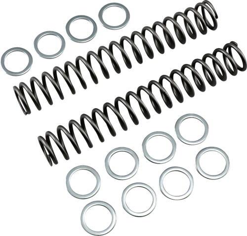 RACE TECH - FRSP S3825095 - Fork Springs - 0.95 kg/mm