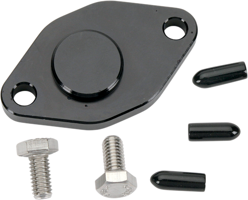 WSM - 011-216 - Crank Case Block Off Plate - Yamaha