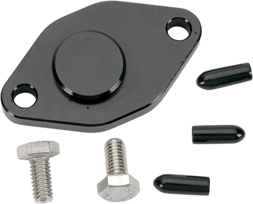 WSM - 011-216 - Crank Case Block Off Plate - Yamaha