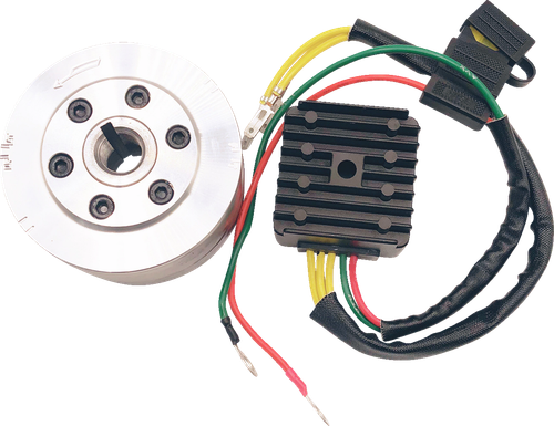 RICK'S MOTORSPORT ELECTRIC - 99-111 - Charging Kit - Honda