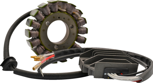 RICK'S MOTORSPORT ELECTRIC - 14-99-200H - Charging Kit - Hot Shot - Kawasaki