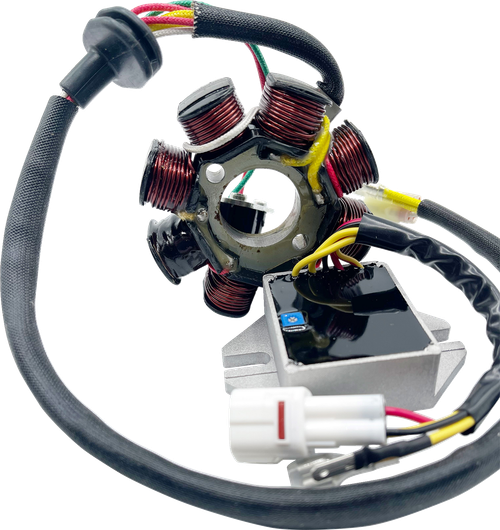 RICK'S MOTORSPORT ELECTRIC - 14-99-900H - Lithium-Ion Compatible Charging Kit - Husqvarna/KTM