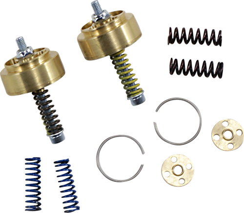 RACE TECH - FEGV S4101 - Gold Valve Cartridge Fork Emulators - 33.50 mm