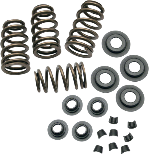 S&S CYCLE - 900-0050 - Valve Spring Kit - 0.650” - Sidewinder - Twin Cam '99-'04 | XL '86-'03