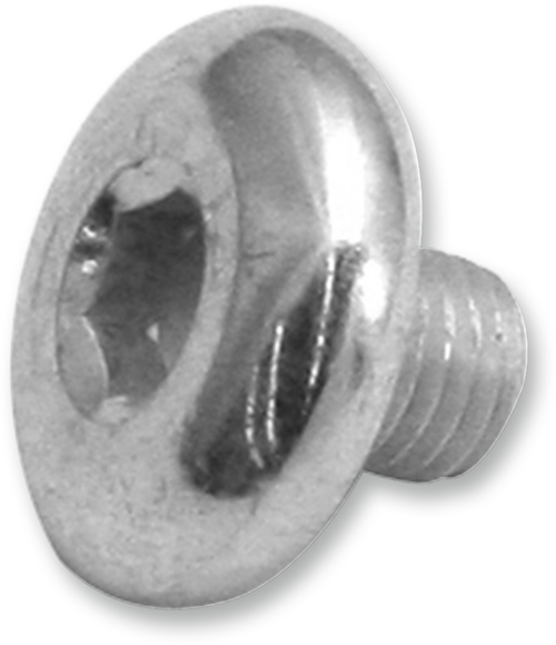 S&S CYCLE - 17-0346 - Replacement Air Cleaner Screw - Breather Screw - 5/16”