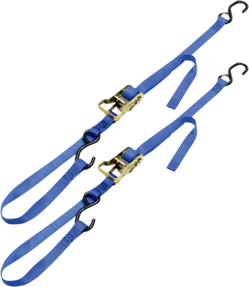 ANCRA - 49498-12 - Integra Rat Pak Tie-Downs - 1" x 6' - Blue