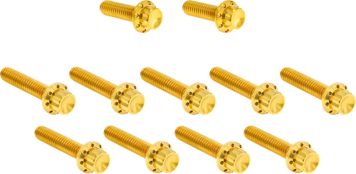 ARLEN NESS - 300-982 - Bolt Kit - Cam Cover/Point Cover - Titanium - 12-Point - Gold