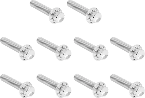 ARLEN NESS - 300-986 - Bolt Kit - Cam Cover/Point Cover - Titanium - 12-Point - Polished