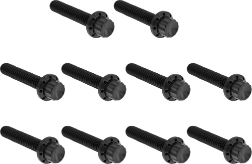 ARLEN NESS - 300-987 - Bolt Kit - Cam Cover/Point Cover - Titanium - 12-Point - Black