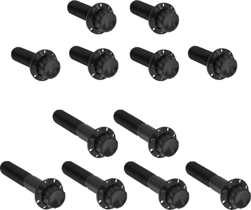 ARLEN NESS - 300-993 - Bolt Kit - Rocker Box - 12-Point - Titanium - Black