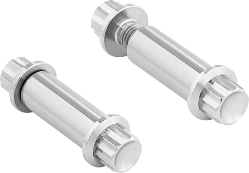 ARLEN NESS - 300-800 - Bolt Kit - Footpeg - 12-Point - Titanium - Polish