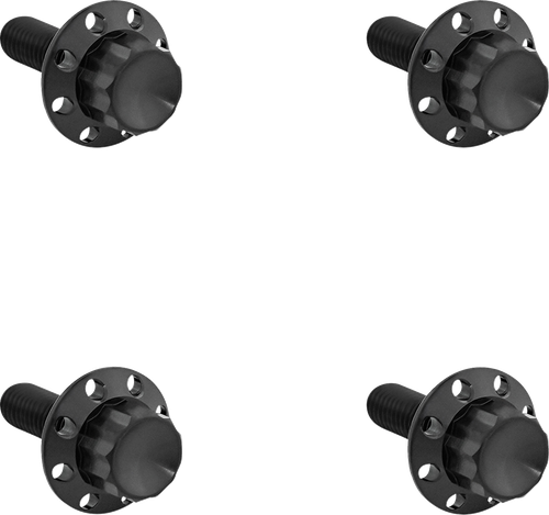 ARLEN NESS - 300-816 - Bolt Kit - Windshield - Titanium - 12-Point - Black