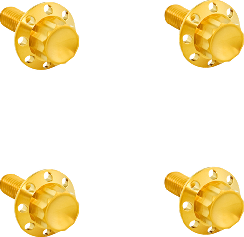 ARLEN NESS - 300-817 - Bolt Kit - Windshield - Titanium - 12-Point - Gold