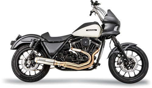 BASSANI XHAUST - 1FXR3SS - 2-into-1 Exhaust System with Super Bike 4" Muffler - Stainless Steel