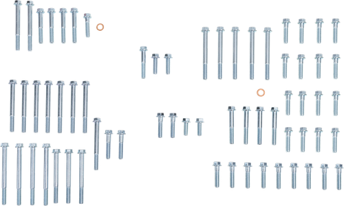BOLT - E-BT4-15 - Engine Fastener Kit - '15-'26 Beta 350-500 RR/RS/RR-S