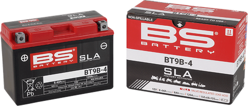 BS BATTERY - 300642 - Battery - BT9B-4 (YT)