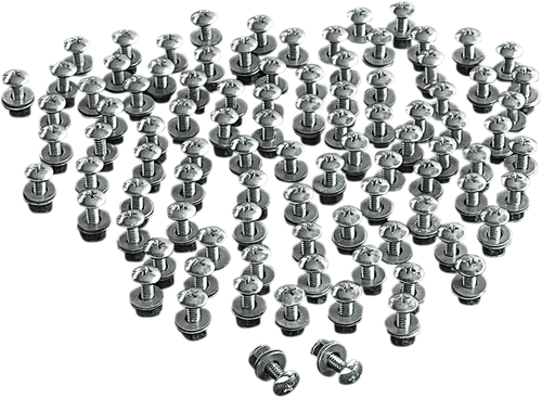 CHRIS PRODUCTS - CHB100 - License Plate Bolts - 100PK