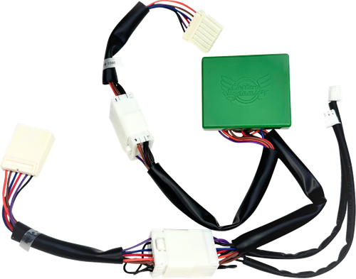 CUSTOM DYNAMICS - CD-STP-XL - SMART Triple Play Module - '04-'16 Sportster