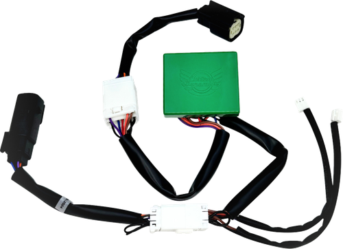 CUSTOM DYNAMICS - CD-STP-TRI - SMART Triple Play Module - '10-'13 FLTRX/FLHX