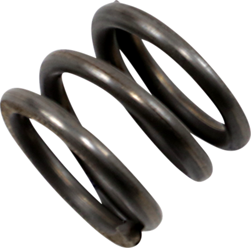 DRAG SPECIALTIES - 0405-0294 - Damper Spring - 41mm - '97-'13 FLT