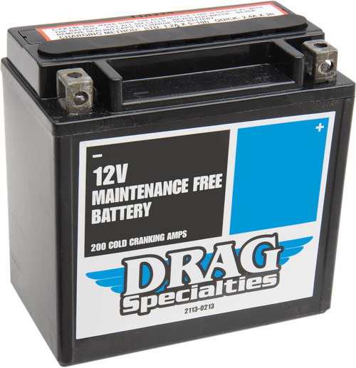 DRAG SPECIALTIES - 2113-0213 - AGM Battery - YTX14LBS