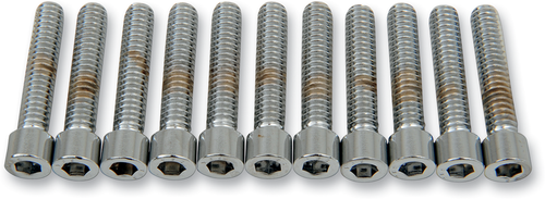 DRAG SPECIALTIES - DS-190538S - Bolts - Socket-Head - Smooth - 1/4-20 x 1-1/4"