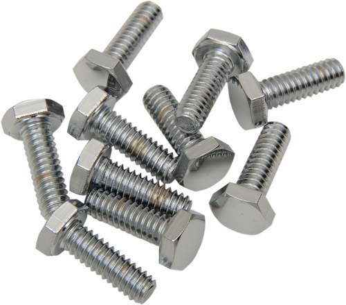 DRAG SPECIALTIES - DS-190601 - Bolts - Hex-Head - Chrome - 1/4"-20 x 5/8"