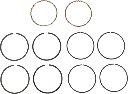 HASTINGS - 2M4985 - Piston Rings - 3.875" Standard - 95" Big Bore Twin Cam