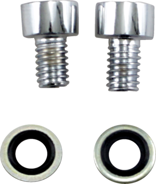JAMES GASKET - JGI-45790-80-CS - Fork Drain Bolt - Kit